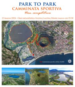 Camminata sportiva